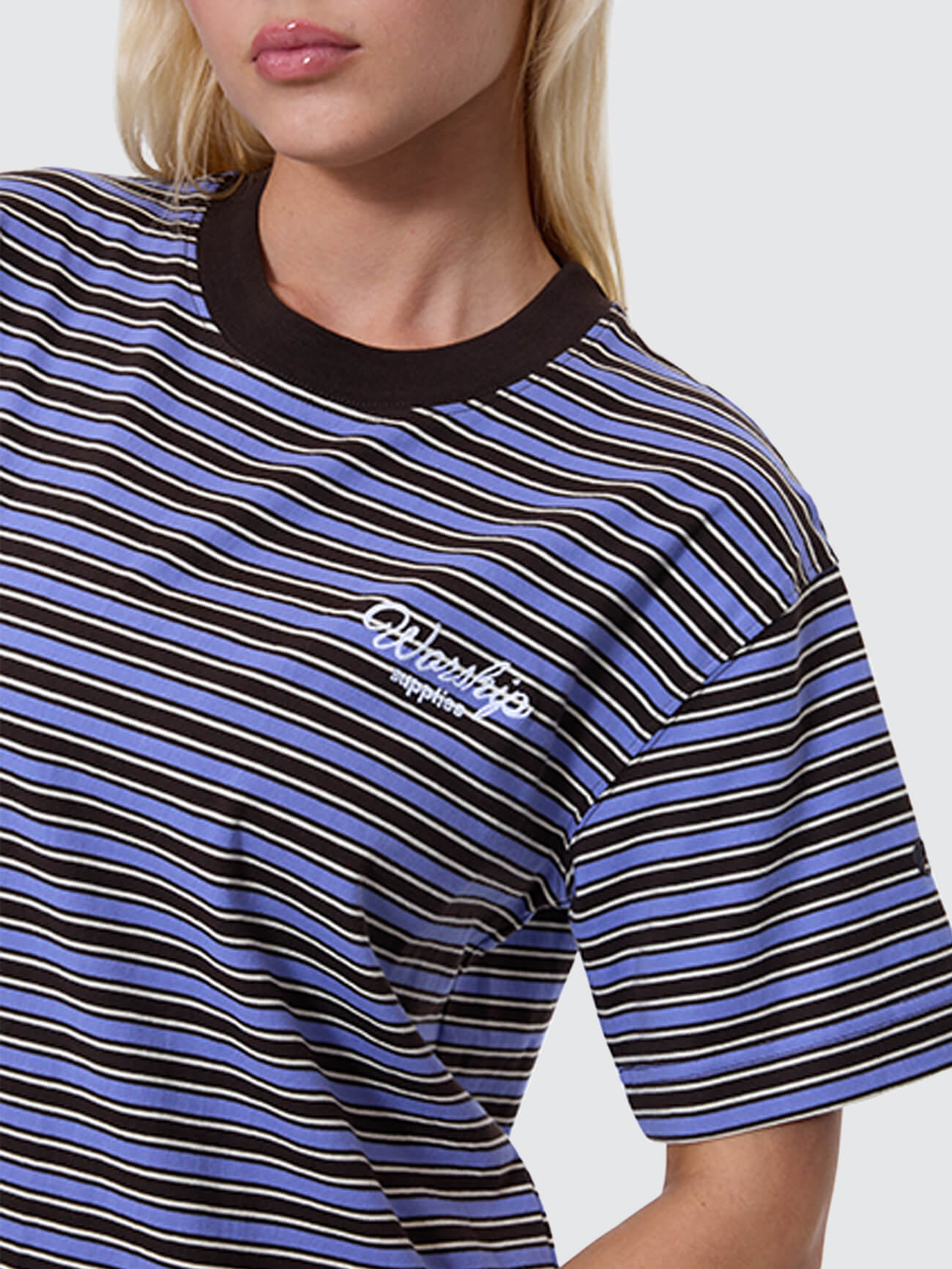 Coed Stripe Regular Fit Tee - Ganache 4